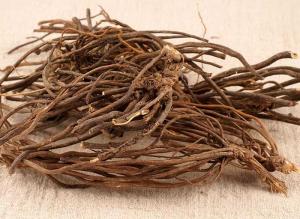 China Pungent Taste Traditional Chinese Herbs , Dried Clematis For Eliminate Rheumatism on sale