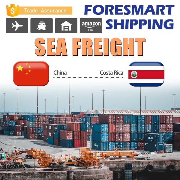 Quality Trucking Service China To Costa Rica FCL Container Shipping wholesale