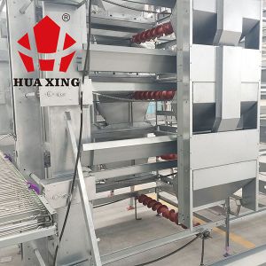 Rational Structure Automatic Water Feeder For Chickens / Automatic Poultry