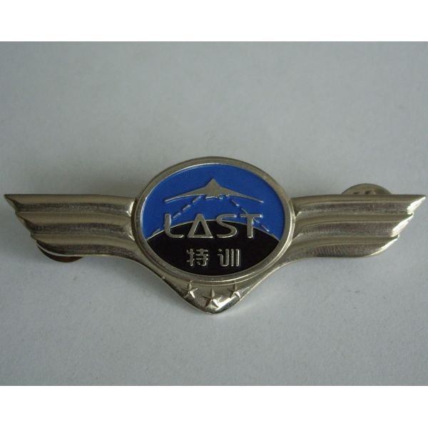 Gold / silver / nickel size custom lapel pin badge