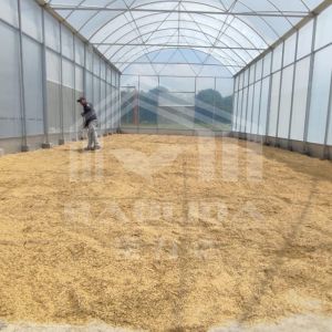 High Tunnel Greenhouse With Durable Steel Structure For Farming