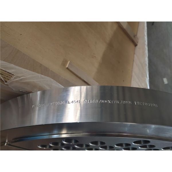 Quality ASTM A182 F321 1.4541 Heat Exchanger Tubesheet wholesale