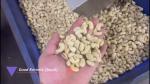 Advanced Cashew Sorting Equipment For Vietnamese Processors With Local Support