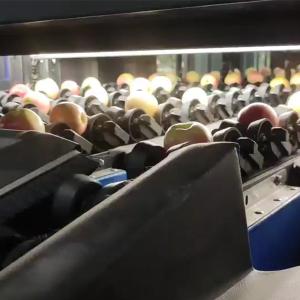 Cheap 99.9% Accurate PLC Control System Apple Fruit Sorting Machine For Industrial Automation 10 Channels for sale