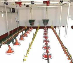 Raising Chicken Feeding Line Steel PP Poultry Pan Feeding System