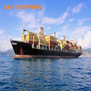 China China To USA Amazon DDP Fast Vessel FBA Freight Forwarder on sale