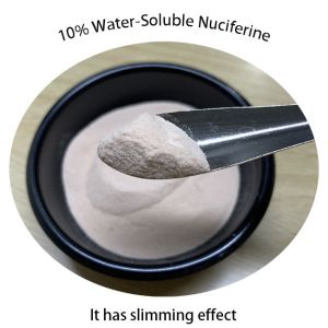 ISO Water Soluble Lotus Leaf Extract Powder 2% 5% Nuciferine For Slimming