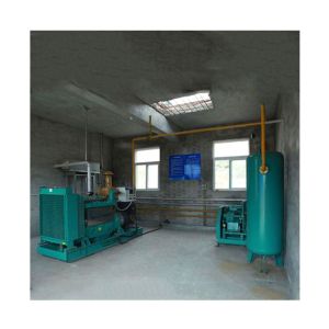 Easy To Install Biogas Purification Equipment with Sand Blasting