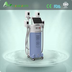 Top performance body cryo slimming cryolipolysis machine, by destruction of fat