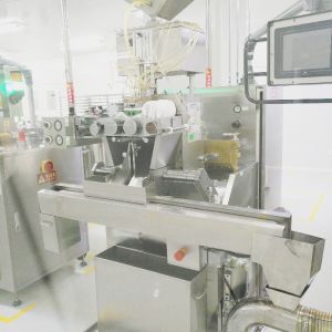 Big Capacity Automatic Vgel Encapsulation Machine Paintball Making 1 Year