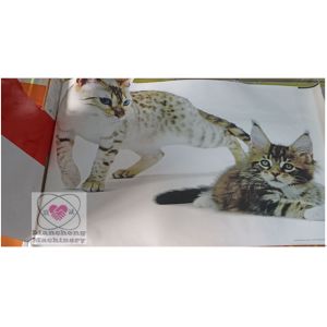 LC4060/6080/6090 Flat Bed Microcomputer semi auto screen printing press plane