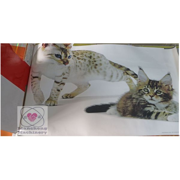 LC4060/6080/6090 Flat Bed Microcomputer semi auto screen printing press plane