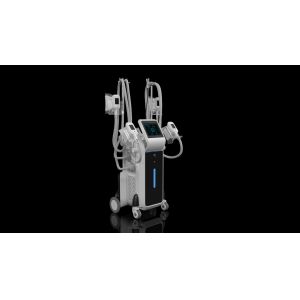 Cheap Criolipolisis machine freeze fat Cryolipolysis cool shaping body sculpting machine for sale