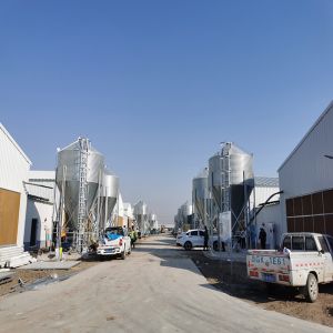 Modular Steel Structure Poultry House with Automated Ventilation