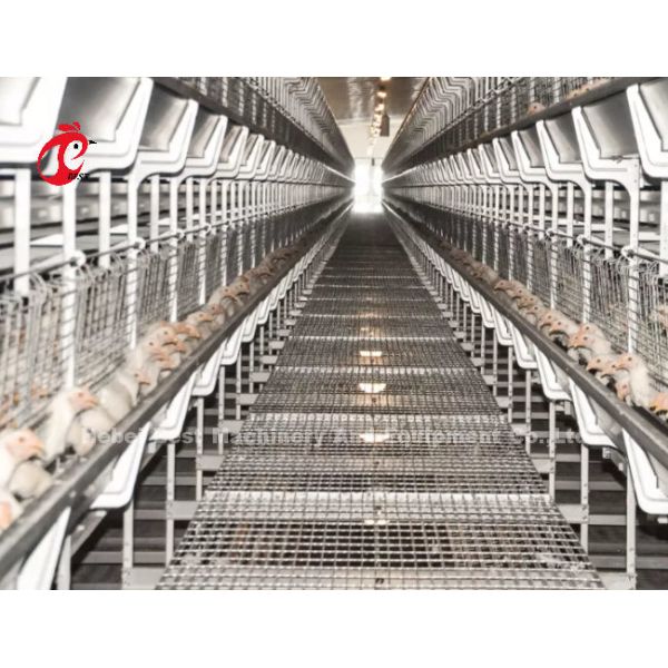 Baby Chick 2.5mm Brooder Cage Automatic Rearing System Rose