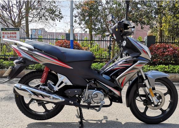 Quality LunaSport 110cc Motorcycle Double Clutch Air Cooling Engine Drum Brake Type wholesale