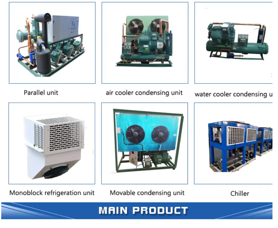 TAG2522ZBR Commercial 6HP Refrigeration Unit Air Cooled R404 Refrigerant Cold Storage Condensing Units