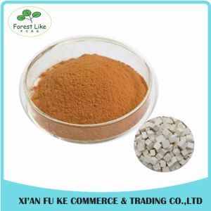 Recover Immunity Statem Chinese Herb Poria Cocos Extract