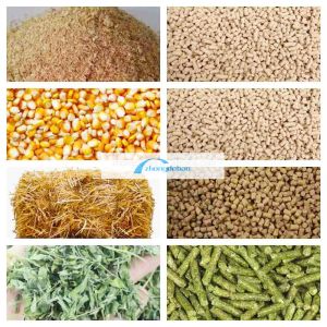 600-800 KG/H Output Fish Animal Feed Mill Dog And Cats Feed Pellet Equipment