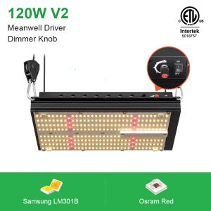 RoHS CCC LM301B Quantum Board 120W SAMSUNG 312Umol/S