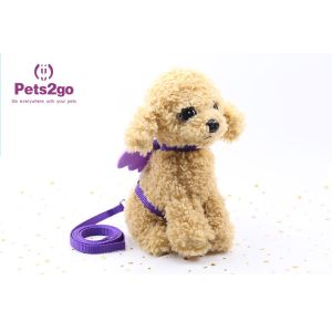 Beautiful Color 75g 120cm Cord Pet Traction Rope