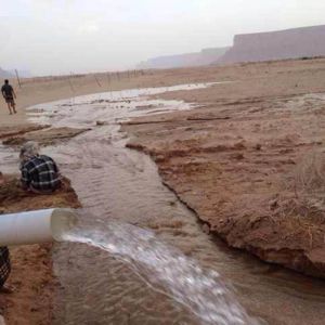 Three Phase 380v Solar Powered Irrigation System , 22kw Solar Water Well Pump