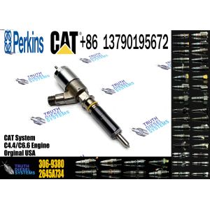Common Rail Injector 306-9380 306-9390 310-9067 2645A751 320-0655 320-0688