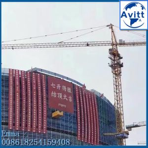 6t Load Capacity Hammer Head Tower Crane Types Of QTZ63-5013 Model