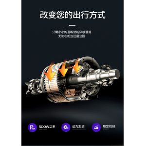 ELECTRIC VEHICLE WITH REMOTE CONTROL KEY TWO-PERSON ELECTRIC BICYCLE NEW BATTERY