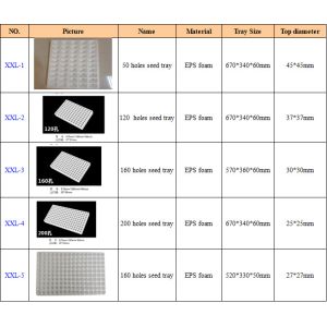 Collision Resistant EPS 120 Hole Foam Seedling Tray Customized Plant Cultivation
