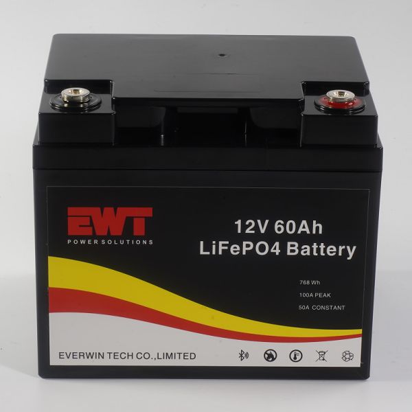 Quality 12V 60AH Lithium Iron Phosphate Battery with Bluetooth Support Customized Logo wholesale