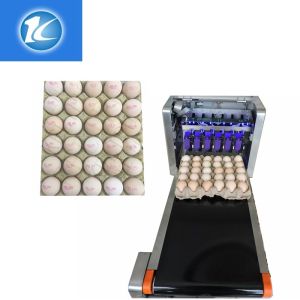Cheap Automatic Continuous Inkjet Batch Coding Machine / Egg Grading Equipment for sale