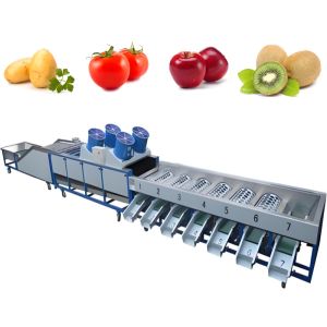 Cheap Automatic Production Fruit And Vegetable Washer Machine Convenient Operation for sale