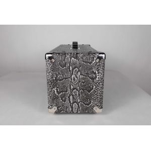 Custom SSS Steel String Singer Tone Deluxe Handwired Guitar Amp Head 100W with