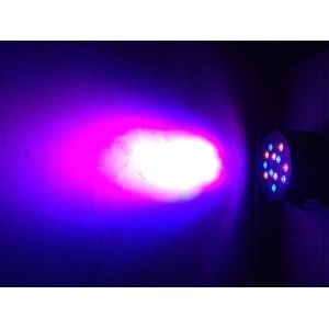 LED Par Can 18*3W YP-005