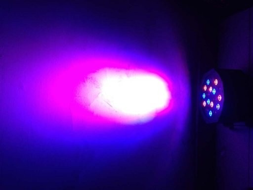 LED Par Can 18*3W YP-005