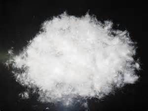 Feather and down Marerial White Duck Down