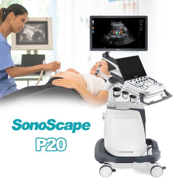 Quality High Quality Sonoscape 4d 3d Ultrasound Machine Ultrasonido Veterinariy Human Ultrasounde Scanner wholesale