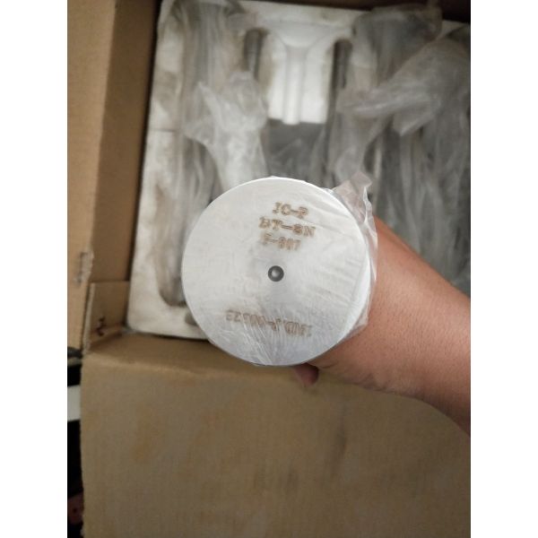 H16V190zldt Jichai Diesel Engine Parts 601.03.15A Intake Valve for Customized