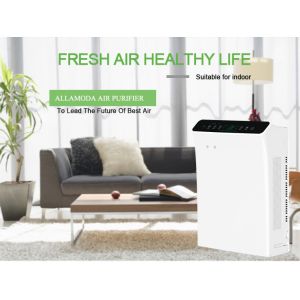 8.7kg UV Personal Air Sanitizer 560m3/h H13 True Hepa Filter