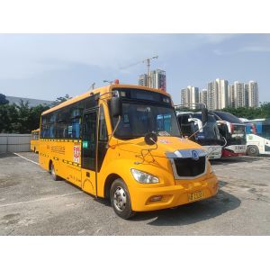 China ShenLong Used School Buses 36 Seats LHD Steering Position Diesel Fuel Type on sale