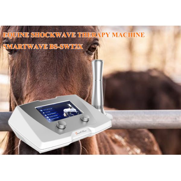 Clinic Horse Shockwave Therapy Machine 1 - 22 Hz Frequency For Suspensory Ligament Disease