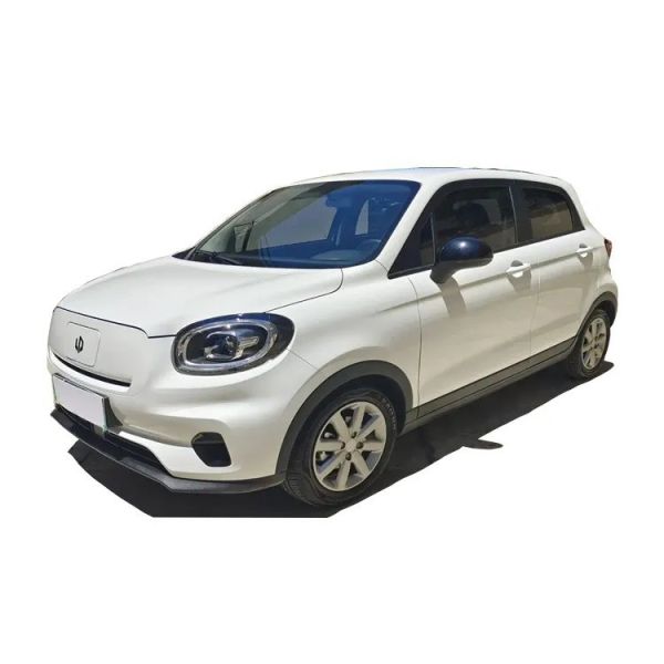 Leap into the Future with 's 2023 LeapMotor T03 Fast Charging Left Steering