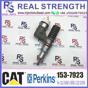 Diesel Common Rail Injector 153-7923 1537923 0R-9595 0R9595 for Diesel C12
