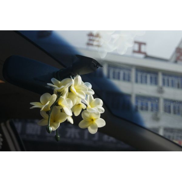 Quality Car Rear View Mirror Hanging, Car Decoration with Flower and Perfume wholesale