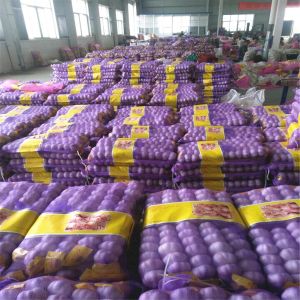 4.5cm Pure White Natural Fresh Onion No Black Mould