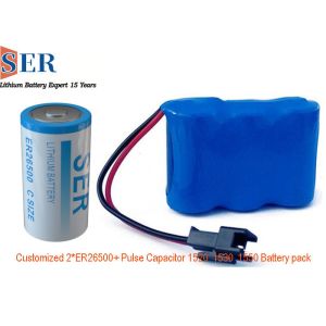 HPC1550 3.6V Li SOCL2 Battery Pack