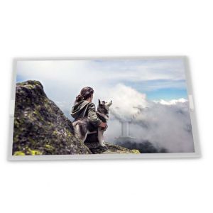 A070VW08 V.2 TFT Panel A070VW08 V2 800*480 LCD 7.0 Inches with High Resolution