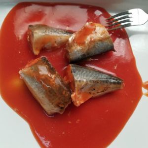 425G Canned Mackerel In Tomato Sauce Canned Fish to Different Markets