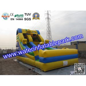 Inflatable Water Slide For Amusement Park / Inflatable Pool Slide